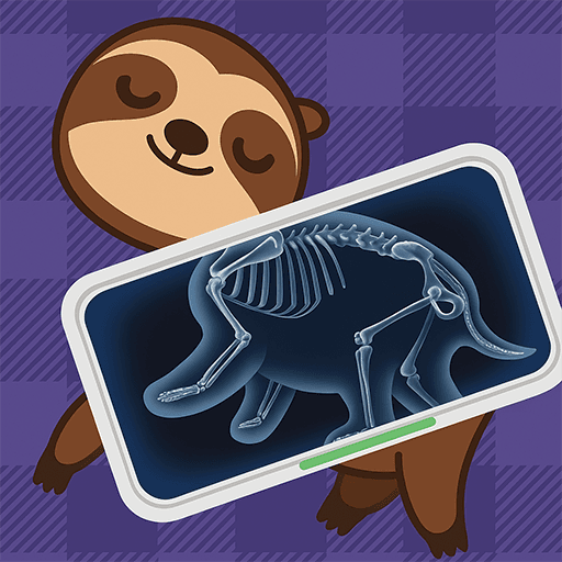 X-Ray Scan